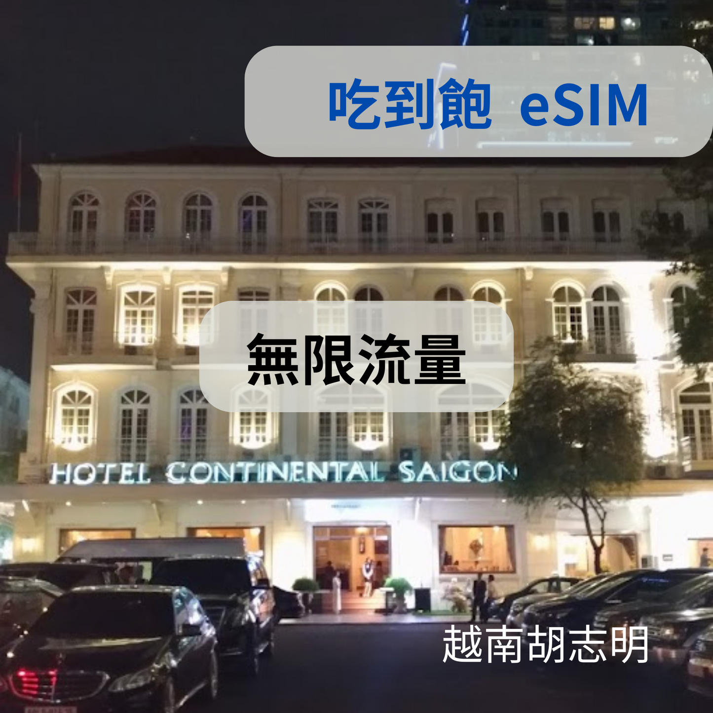 越南 暢享 eSIM 吃到飽