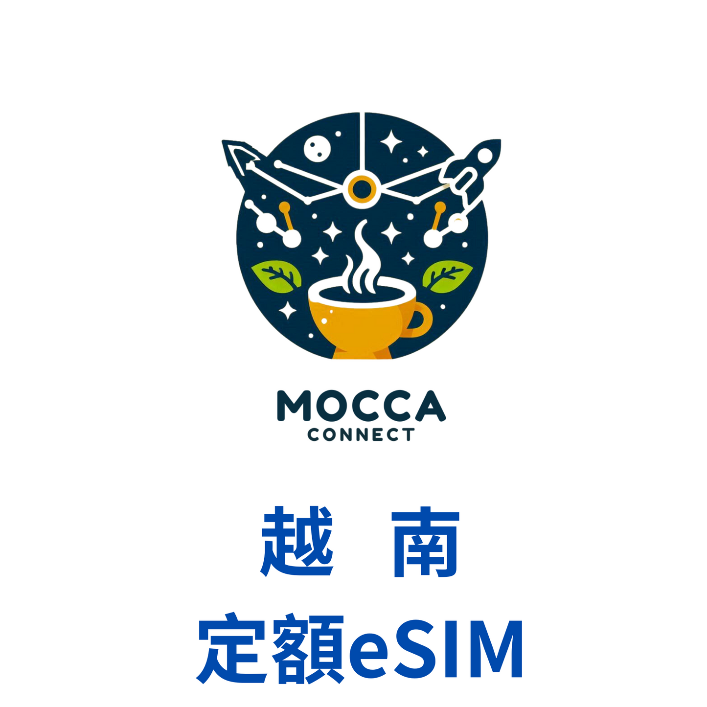 越南 定額 eSIM